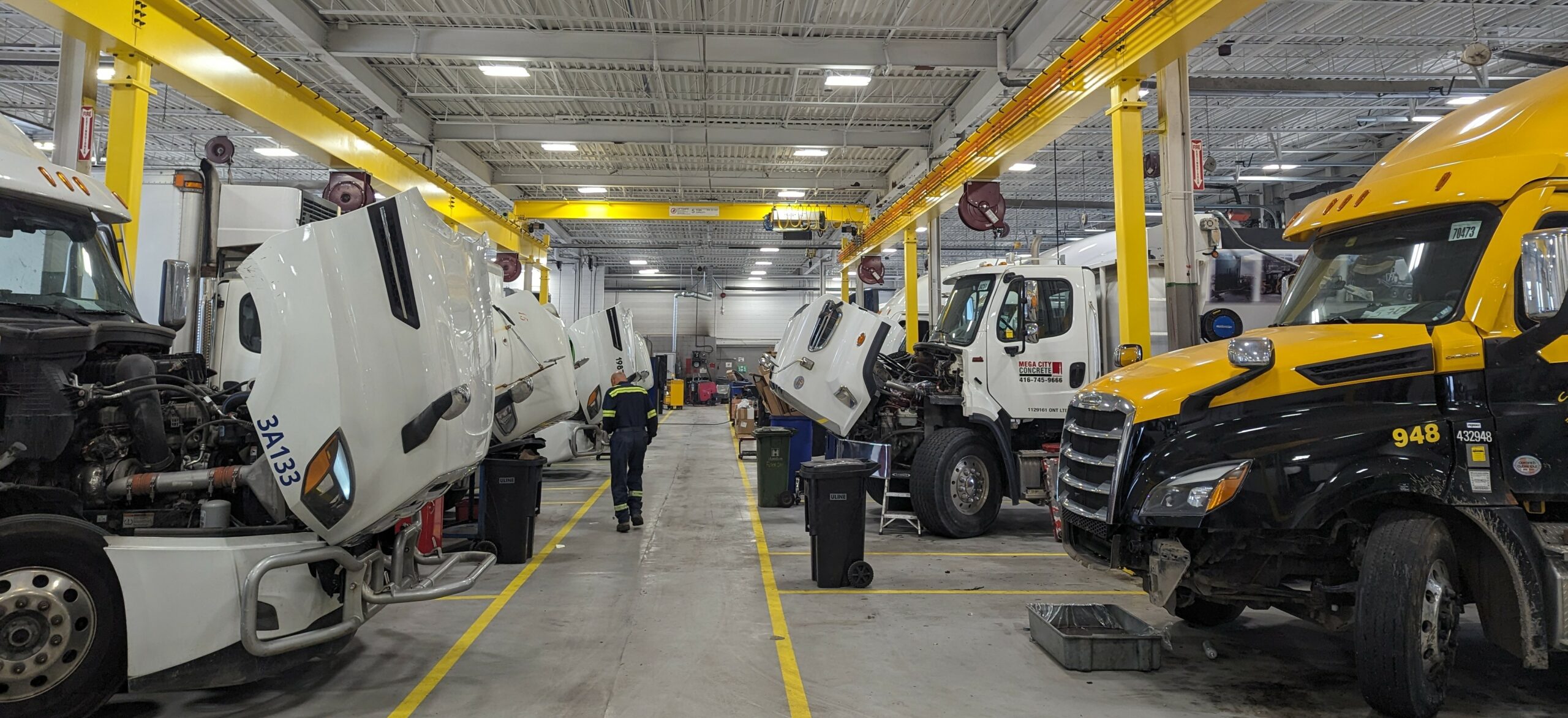 Liftsafe Crane and Hoist